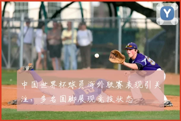 中国世界杯球员海外联赛表现引关注，多名国脚展现竞技状态