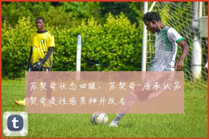 苏契奇状态回暖，苏契奇-唐承认苏契奇是性感男神并改名