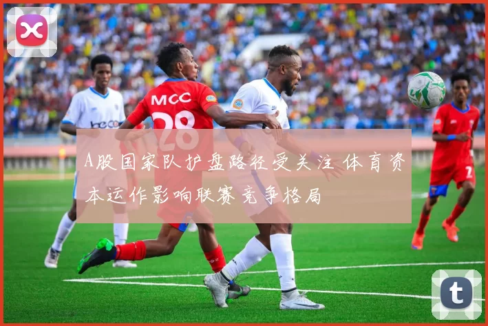 A股国家队护盘路径受关注 体育资本运作影响联赛竞争格局