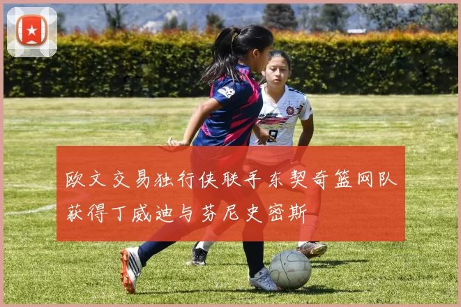 欧文交易独行侠联手东契奇篮网队获得丁威迪与芬尼史密斯